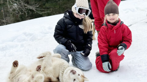 UNE AVENTURE AU GRAND NORD