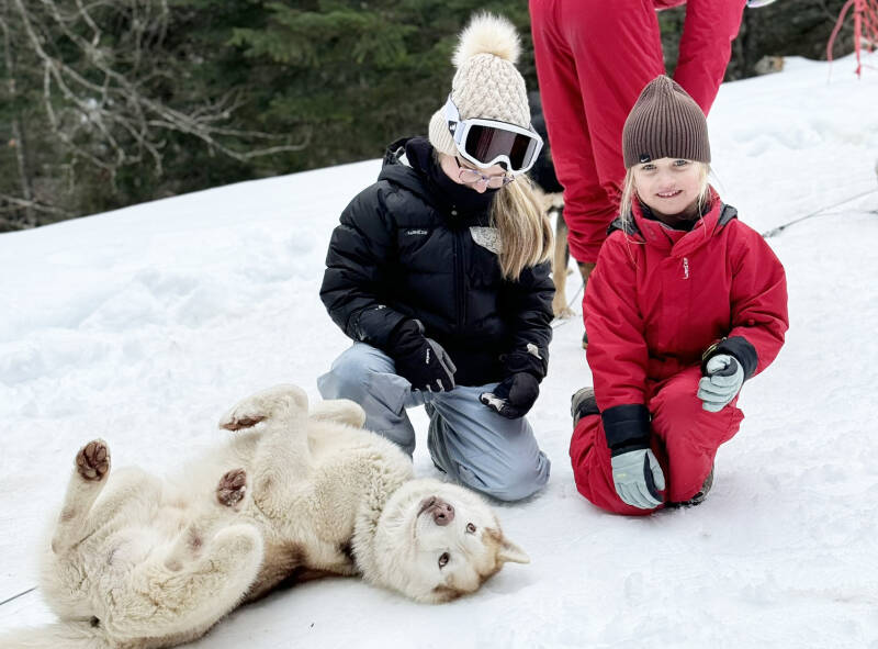 Enfants avec des chiens de traîneau.