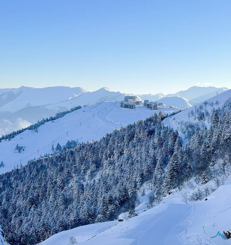 superbagnères_neige_sapins_nature